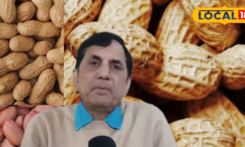 Winter Health Tips | Peanut Health Benefits | Ayurvedic Superfood Peanut | Peanuts for Winter Diet | Peanut Consumption Ayurveda | How to Eat Peanuts in Winter | Peanut Dosage Ayurvedic