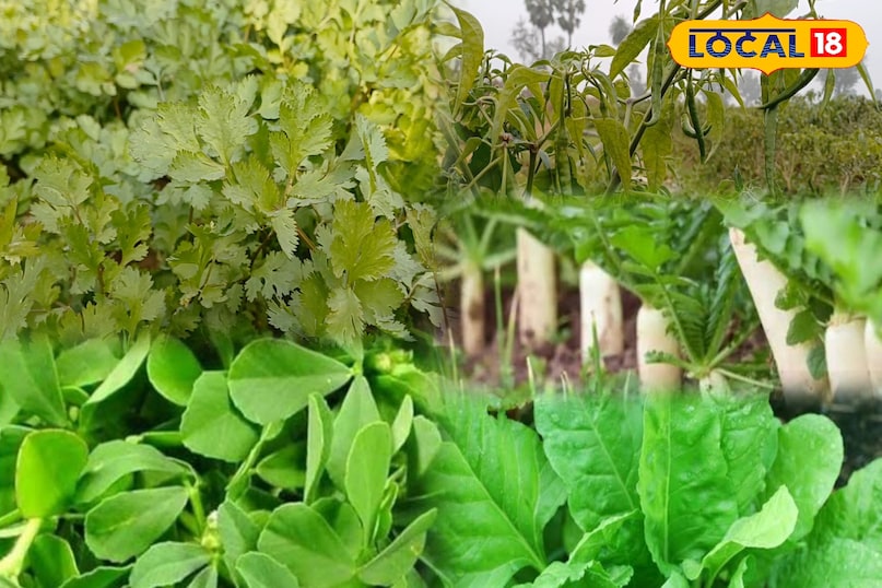 भरतपुर राजस्थान 