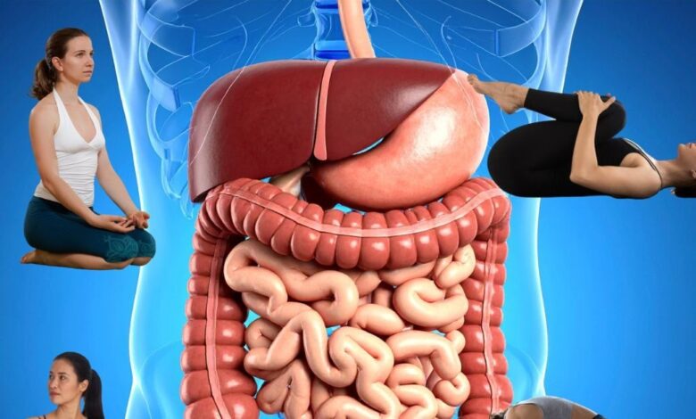 Yoga for Digestion| अपच-कब्ज और गैस की समस्या के लिए रोज करें ये 4 योगासन