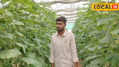 Young Farmer Ramlakshman Chotia Boosts Production with Rainwater & Polyhouse