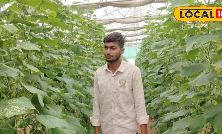 Young Farmer Ramlakshman Chotia Boosts Production with Rainwater & Polyhouse