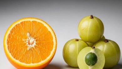 amla vs orange which is rich in vitamin-c, ठंड में इम्युनिटी और त्वचा के लिए संतरा या आंवला क्या बेहतर है.
