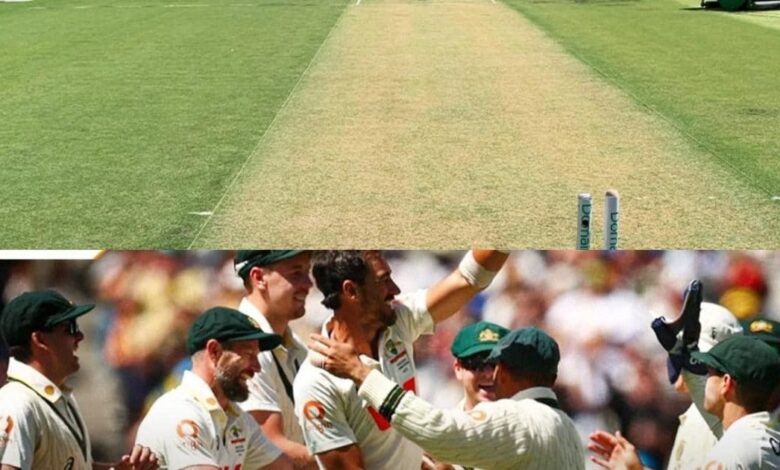 boxing day test day 1 20 wickets मेलबर्न की खतरनाक पिच पर बल्लेबाज बेहाल, तेज गेंदबाजों ने लिया 20 विकेट