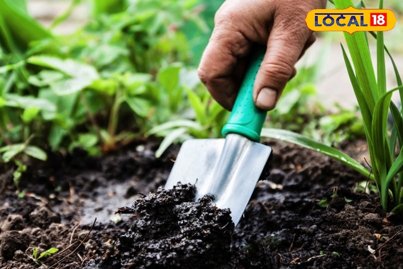 Gardening Tips Gardening Tips