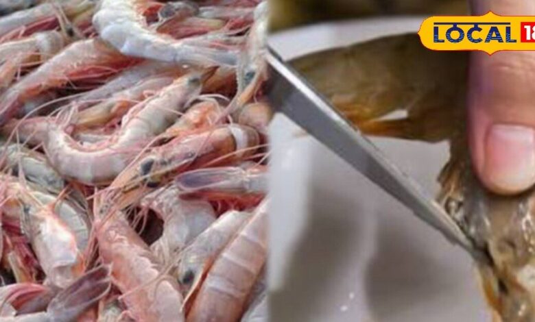 jhinga machhli revealed important for health | मछली खाने के शौकीनों! क्या आप जानते हैं कि झींगा की काली नस को बिना निकाले खाने से क्या होता है? जानिए सच