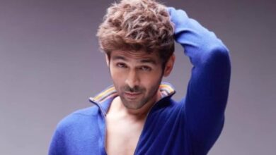 'अगर यह बहस नहीं होती...', बॉलीवुड में इनसाइडर वर्सेस आउटसाइडर का खेल? चर्चा में आया कार्तिक आर्यन का बयान