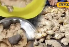 अदरक को 20 दिन तक फ्रेश रखने के टिप्स | Kitchen Tips to Store Ginger Fresh