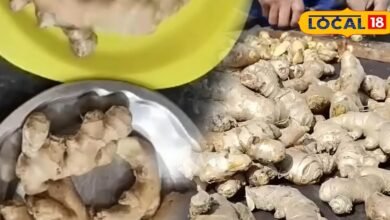 अदरक को 20 दिन तक फ्रेश रखने के टिप्स | Kitchen Tips to Store Ginger Fresh