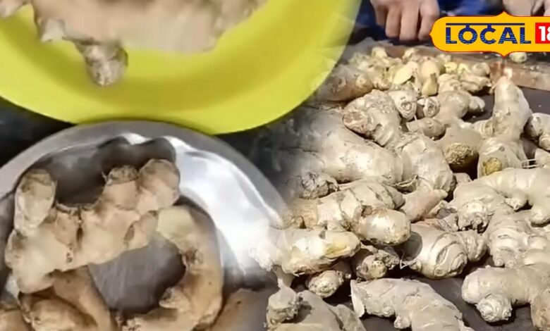 अदरक को 20 दिन तक फ्रेश रखने के टिप्स | Kitchen Tips to Store Ginger Fresh