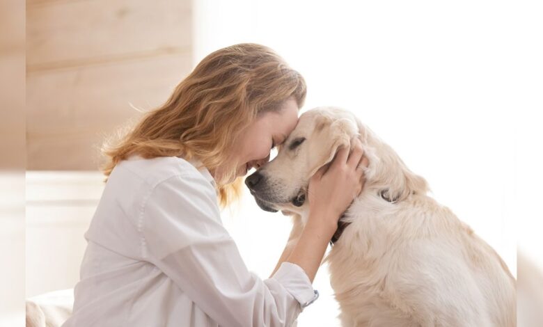 अपने पालतू कुत्ते को गलती से भी न खिलाएं ये चीजें, हो सकता है यह बड़ा नुकसान