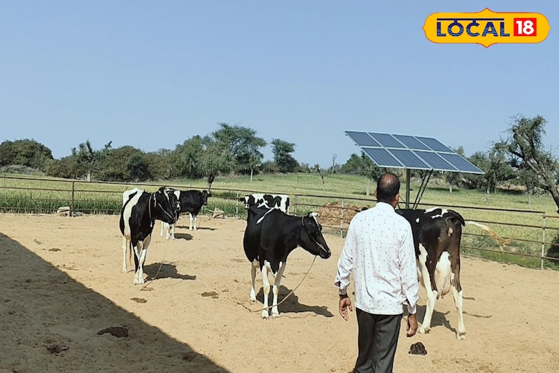 पशुपालन पशुपालन