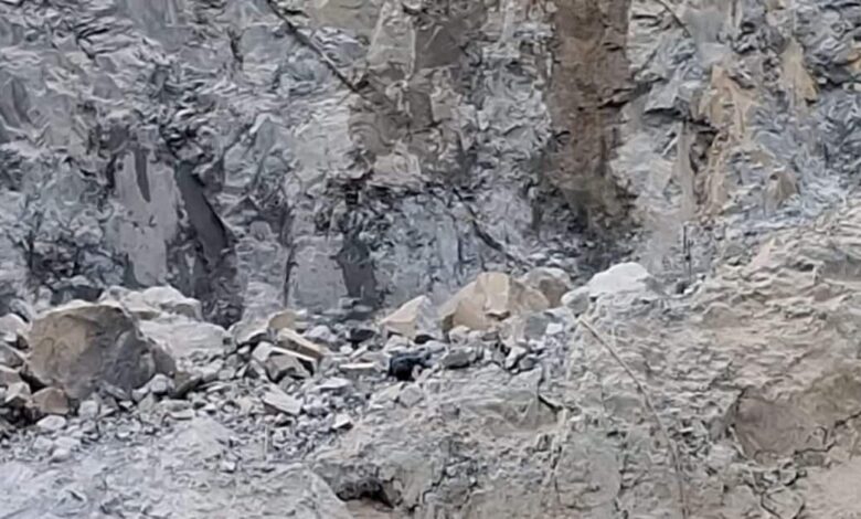 अरावली पर माफिया राज! 15 साल में 50 हजार करोड़ का अवैध खनन, हैरान करने वाला है पूर्व डीएफओ का खुलासा