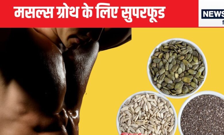 आपकी बॉडी की शक्ति को चीते जैसा चपल बना देगी ये 5 चीजें, फौलाद की तरह बन जाएगा शरीर, सिर्फ 1 महीना आजमा के देखिए