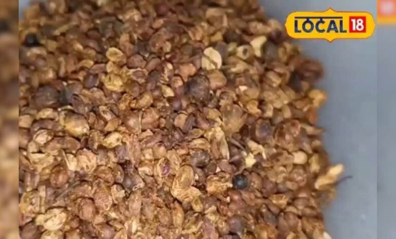 आयुर्वेद का अनमोल खजाना है ये बीज, शरीर और बालों के लिए चमत्कारी; तनाव, पाचन और गठिया में रामबाण