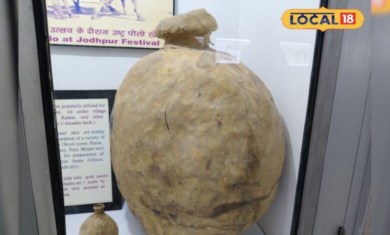 ऊंट की चमड़ी से बने बर्तनों ने कैसे बचाया रेगिस्तान का जीवन? जानें इतिहास – News18 हिंदी