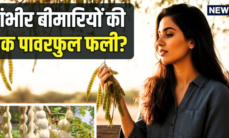 एक पावरफुल फली... जिसमें हड्डियों से लेकर पाचन तक का छिपा है इलाज, जानिए इस औषधि के चौंकाने वाले फायदे