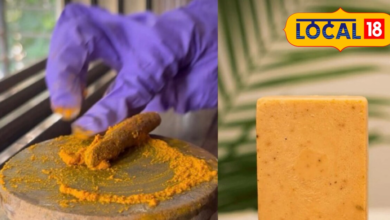 ऑर्गेनिक साबुन घर पर बनाने का तरीका और फायदे जानें सपना शिंगवी से.