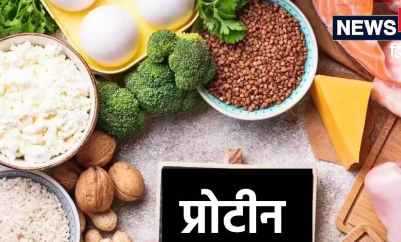 ओ भाई! मैदा-सूजी से प्रोटीन ने रहे भारतीय, नमक, तेल-चीनी की तो पूछिए ही मत, चौंका देगी CEEW की ये स्टडीindian people are taking protein maida-sooji and grains ceew study reveals protein inequality and salt sugar oil high consumption in Indian diet