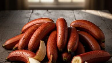 कभी खाया है लाल केला? असली वाला तो यही, आंतों की सफाई से लेकर स्ट्रोक रोकने तक में चैंपियन - Uttarakhand News