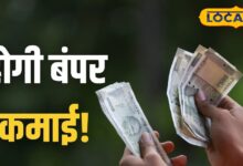 कम इन्वेस्टमेंट...बड़ा मुनाफा, चार सबसे सफल बिजनेस मॉडल जो नहीं होते फेल! फाइनेंशियल एक्सपर्ट दी टिप्स