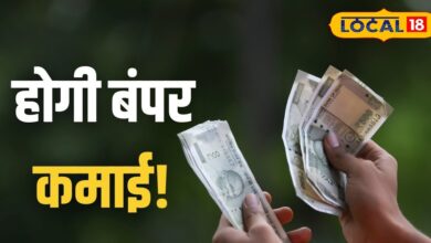 कम इन्वेस्टमेंट...बड़ा मुनाफा, चार सबसे सफल बिजनेस मॉडल जो नहीं होते फेल! फाइनेंशियल एक्सपर्ट दी टिप्स