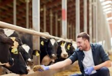 कम पूंजी में लगातार चलने वाला बिजनेस! न कोई पढ़ाई ना ही कोई भारी गणित, लाखों में होगी कमाई