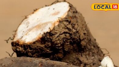 कितनी पीढ़ियों ने इसे खाकर काटे दिन, ये पहाड़ों का सुपरफूड, ऊर्जा से भरपूर, सर्दियों में वरदान - Uttarakhand News