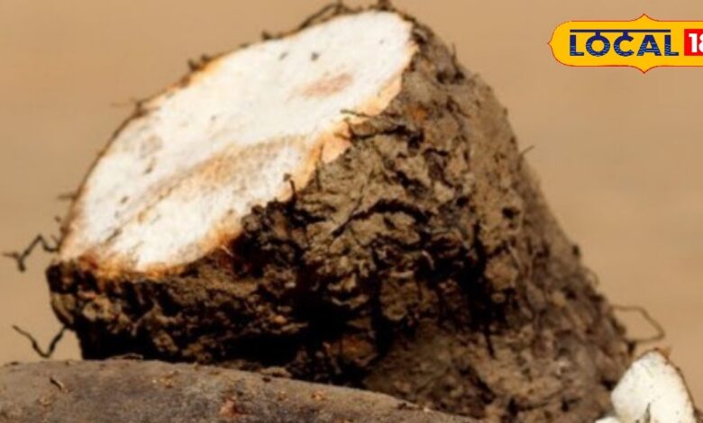 कितनी पीढ़ियों ने इसे खाकर काटे दिन, ये पहाड़ों का सुपरफूड, ऊर्जा से भरपूर, सर्दियों में वरदान - Uttarakhand News