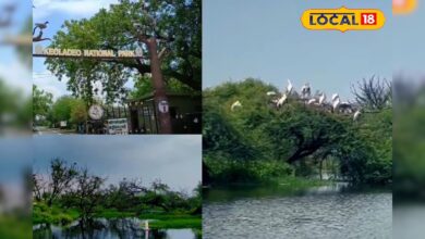 केवलादेव ने दिखाया प्रकृति संरक्षण का सबसे खूबसूरत उदाहरण! – News18 हिंदी