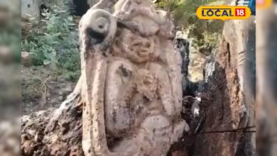 कोटा का रहस्यमयी पेड़! काटते ही सामने क्या आया? देखने उमड़ी भीड़, वीडियो वायरल