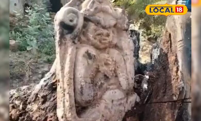 कोटा का रहस्यमयी पेड़! काटते ही सामने क्या आया? देखने उमड़ी भीड़, वीडियो वायरल