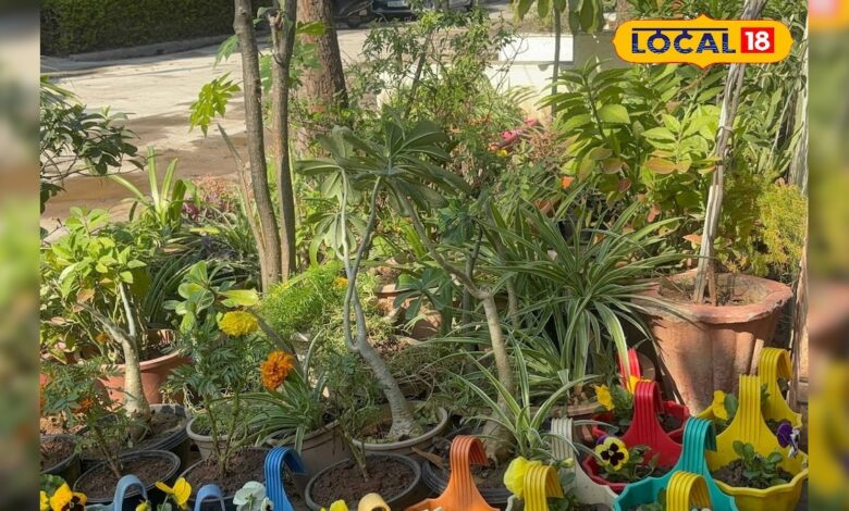 कोटा में श्रद्धा ठाकुर ने अपने घर को बनाया 300 पौधों का हरा-भरा स्वर्ग, पर्यावरण के लिए मिसाल! देखें वीडियो