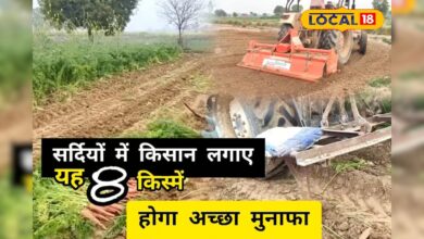 क्या आपको पता है इन सब्जियों से हो जाती है 25 दिन में कमाई शुरू, कैसे जानने के लिए देखें वीडियो