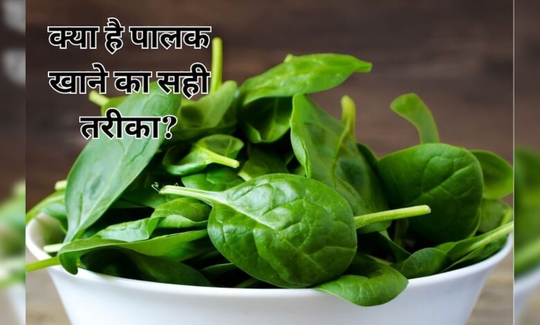 क्या पालक पनीर खाना चाहिए? सब्जी, जूस या सलाद क्या है पालक खाने का सही तरीका, आयुर्वेद एक्सपर्ट ने बताया