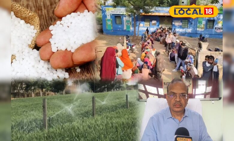 खेतों में जरूरत से ज्यादा यूरिया फसल को पहुंचा सकता है नुकसान, जानें सही इस्तेमाल का फार्मूला