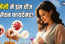 गर्भवती महिलाओं के लिए वरदान है यह ड्राईफ्रूट! मां और शिशु दोनों को देता है ताकत, जानिए इसके और भी फायदे