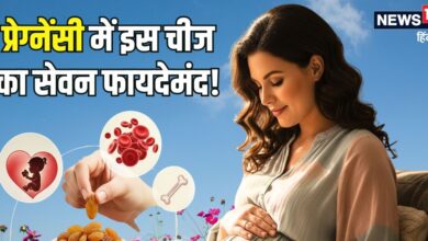 गर्भवती महिलाओं के लिए वरदान है यह ड्राईफ्रूट! मां और शिशु दोनों को देता है ताकत, जानिए इसके और भी फायदे