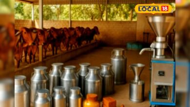 गांव से भी शुरू कर सकते हैं ये बिजनेस, हर महीने होगा तगड़ा मुनाफा, सरकार भी दे रही सब्सिडी