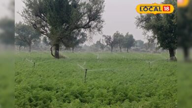 गिरते नलकूप, सूखते कुएं, लेकिन कम पानी में बढ़ रही है दोगुनी फसल! जानें क्या हैं रहस्य