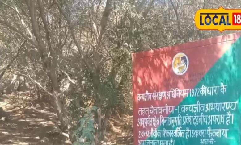 ग्राउंड रिपोर्ट : दो सप्ताह में 5 पर्यटकों के गुम होने की घटना, ये जंगल है खतरनाक 