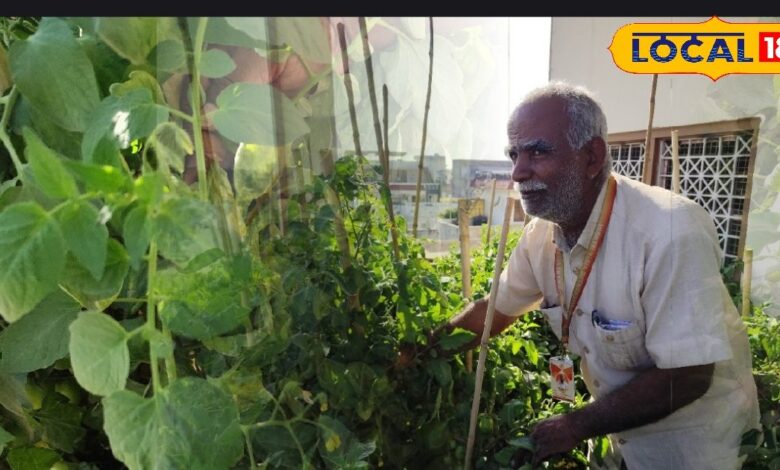 ग्राउंड रिपोर्ट: स्क्रीन टाइम घटा, ग्रीन टाइम बढ़ा; नवाचार से स्कूल में बच्चे सीख रहे खेती की तकनीक