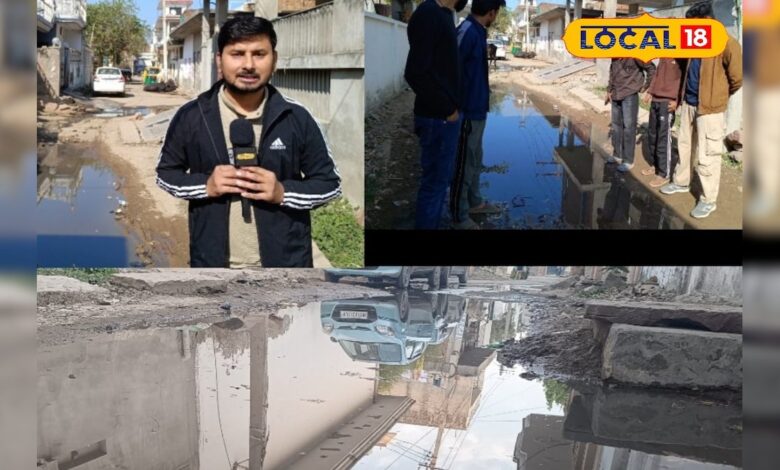 घर से बाहर निकलना भी हुआ दूभर, धौलपुर के लोग क्यों है नरक जैसी जिंदगी जीने को मजबूर, देखें इस वीडियो में