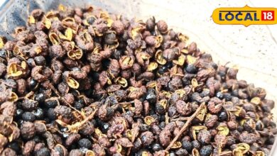 चरचराती जीभ, लेकिन जबरदस्त फायदा! जंगल की धनिया से 3 पेट रोग होंगे जड़ से खत्म