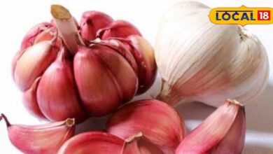 चिकन-मटन का ये फेवरेट मसाला! कर देगा हर टाइप का डायबिटीज कंट्रोल, हार्ट और बीपी में भी कारगर