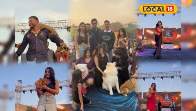 जनसैलाब उमड़ा! रैंप पर डॉग ने किया जलवा, मॉडल्स से भी बढ़कर दिखा स्टाइल, देखें भीड़ का उत्साह