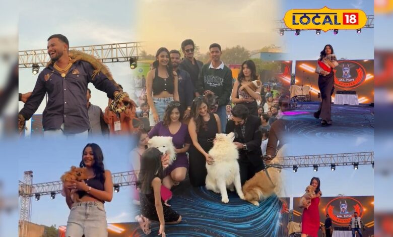 जनसैलाब उमड़ा! रैंप पर डॉग ने किया जलवा, मॉडल्स से भी बढ़कर दिखा स्टाइल, देखें भीड़ का उत्साह