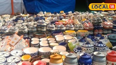 जयपुर फेयर में चीन नहीं, चीनी मिट्टी के बर्तनों का जलवा! खूबसूरत और सस्ते बर्तनों पर टूट पड़े लोग