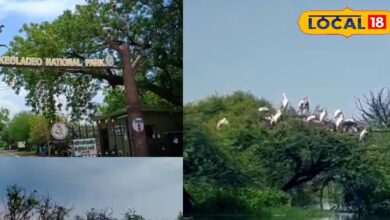 जल प्रबंधन व जैव विविधता का उदाहरण