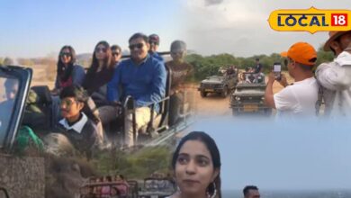 जवाई में 'न्यू ईयर' का जबरदस्त क्रेज! पैंथर्स देखने सैलानी उमड़े, एक रात ठहरने का किराया जानकर उड़ जाएंगे होश