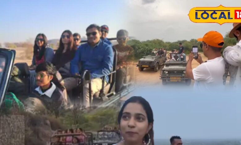 जवाई में 'न्यू ईयर' का जबरदस्त क्रेज! पैंथर्स देखने सैलानी उमड़े, एक रात ठहरने का किराया जानकर उड़ जाएंगे होश